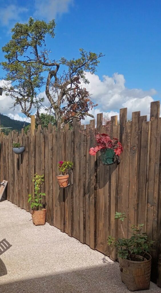 Terrasse avec plantes et vue sur ciel bleu